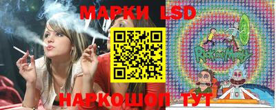 шишки Гусиноозёрск