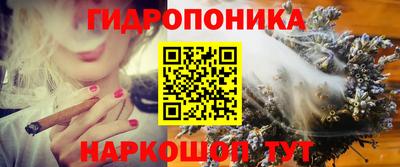 метадон Гусев